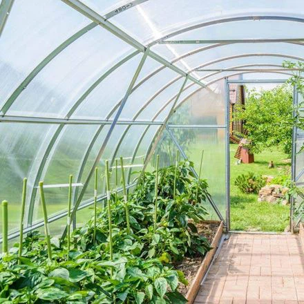 Kasvuhoone kattekile